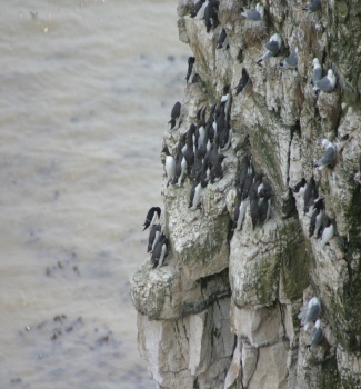 Bridlington Old Town