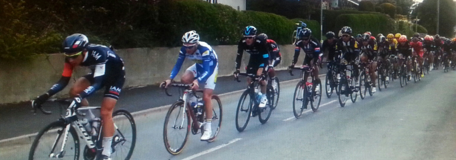 Tea Rooms at Rockville Farm Cottages